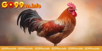 Các Tiêu Chí Chọn Gà Khỏe Mạnh Và Bền Bỉ Cho Các Sư Kê