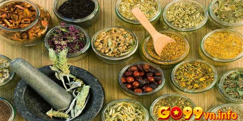 Chăm sóc gà chọi sau đá bằng bài thuốc dân gian