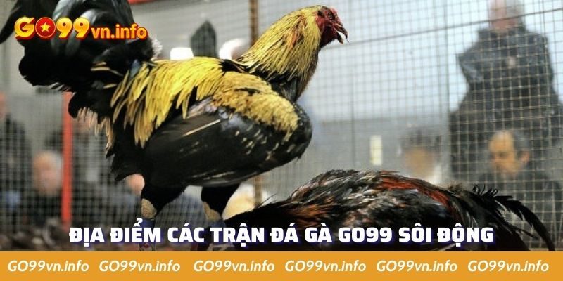 Các trận đấu lấy nguồn từ trường gà uy tín