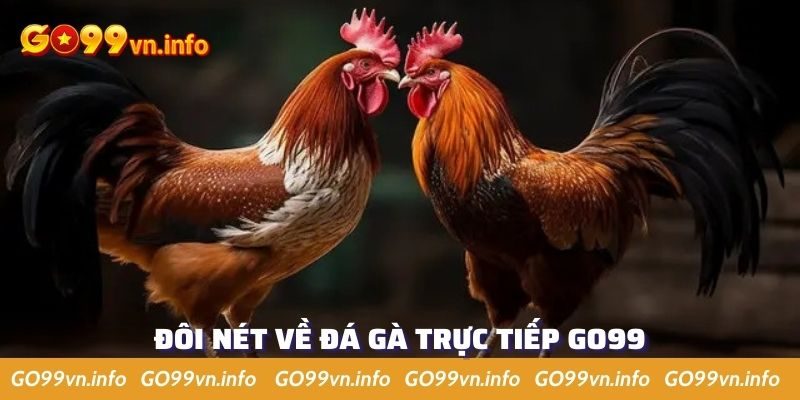 Tìm hiểu đôi nét về đá gà trực tiếp của GO99