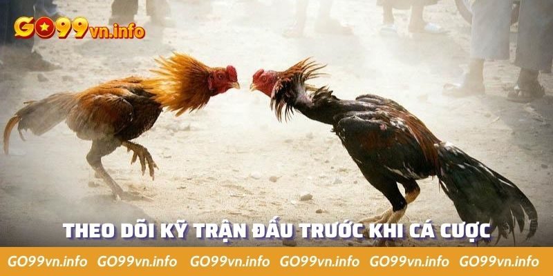 Cần quan sát kỹ lưỡng trước khi đặt cược