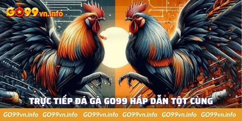 Thả ga giải trí với đá gà trực tiếp