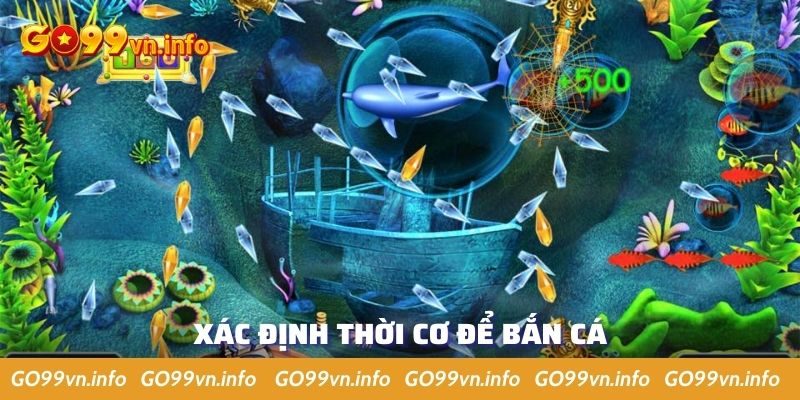 Chờ thời cơ đẹp để tiêu diệt cá trong bể