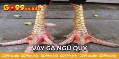 Vảy Gà Ngũ Quỷ - Chia Sẻ Khái Niệm Và Cách Nhận Biết