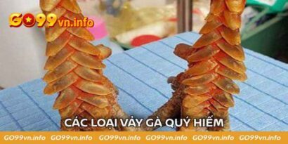 Danh Sách Tổng Hợp Các Loại Vảy Gà Quý Hiếm Nhất Hiện Nay